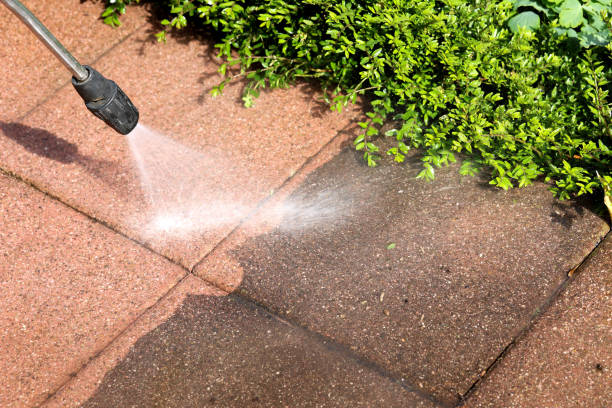 Best Roof Power Washing Services  in Highland, IN